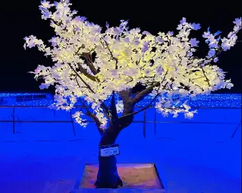 해운대 빛 축제_26