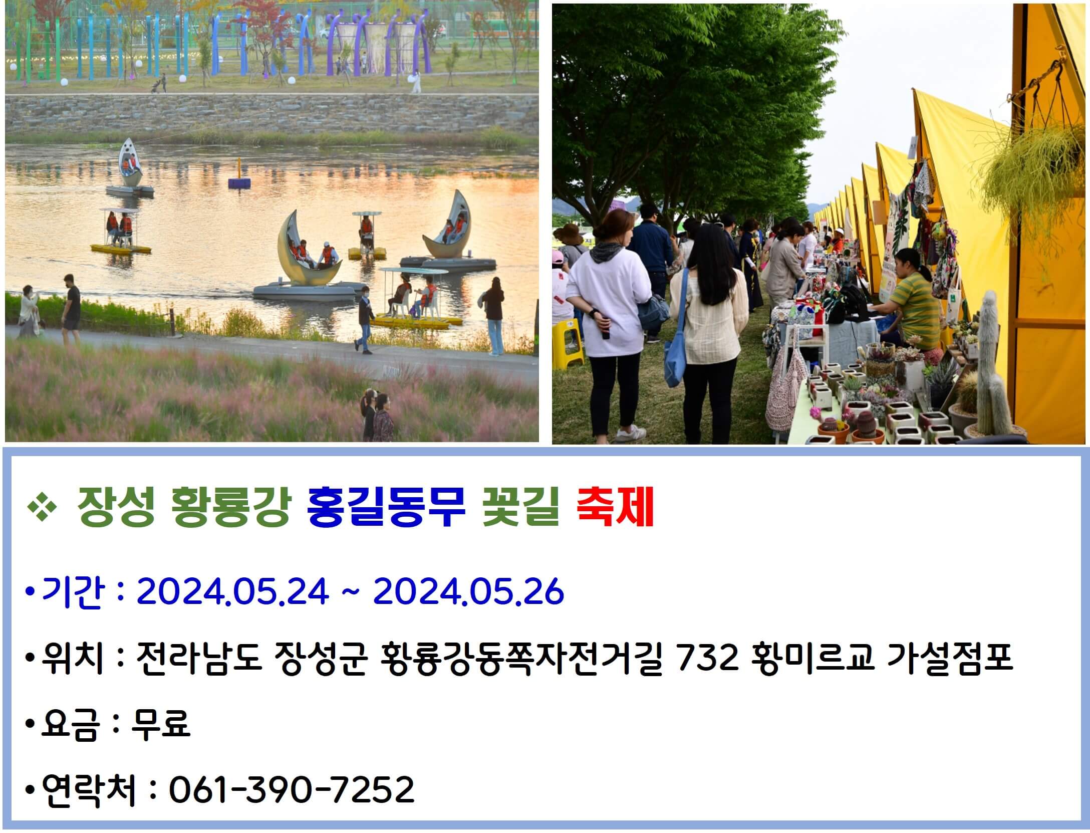 장성 황룡강 홍길동무 꽃길 축제