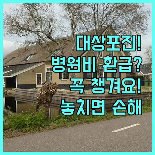 실손보험으로 대상포진 병원비 환급받는..
