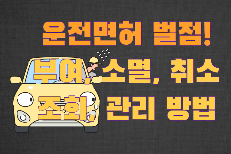 운전면허 벌점