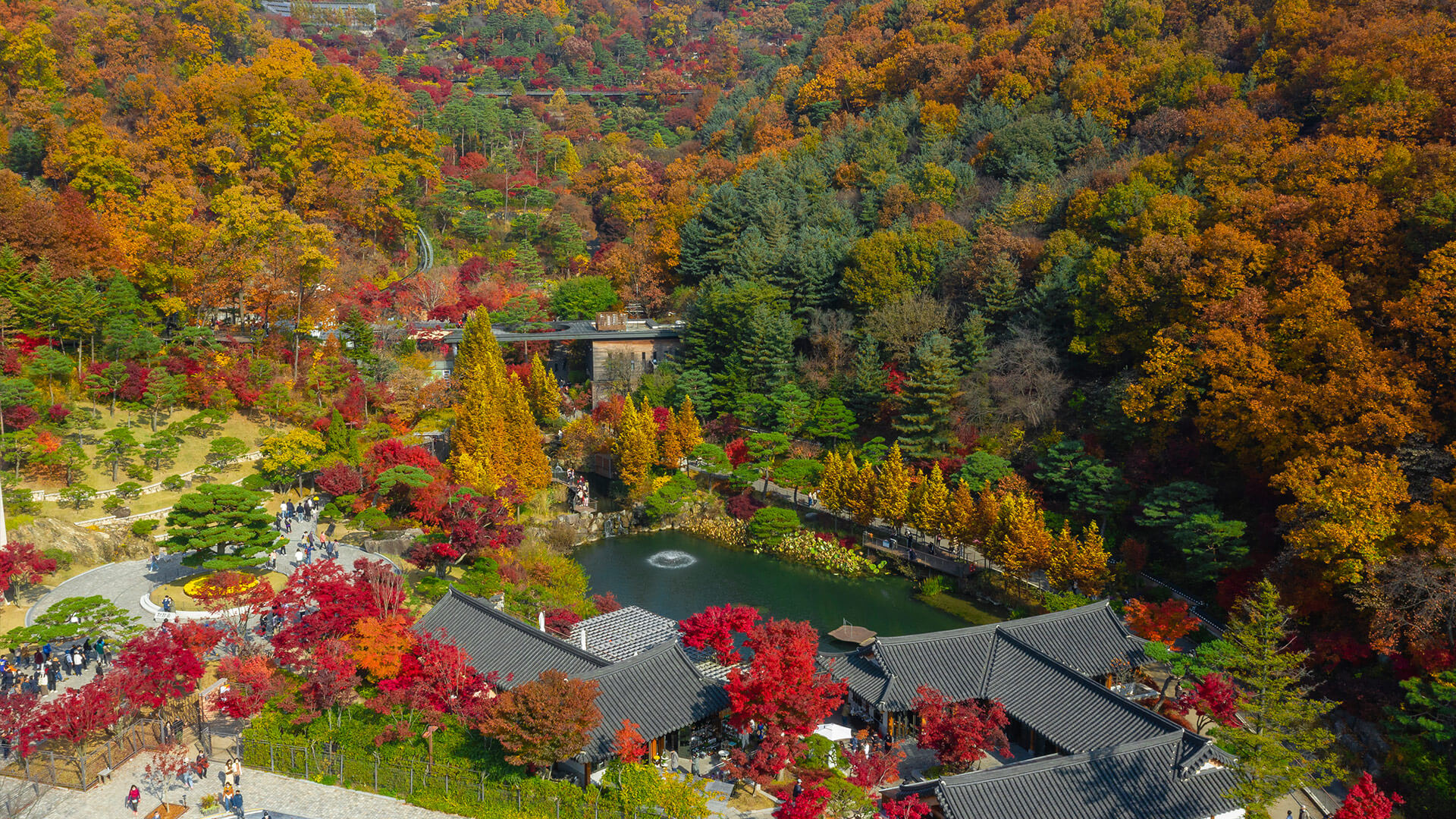 화담숲의 아름다움