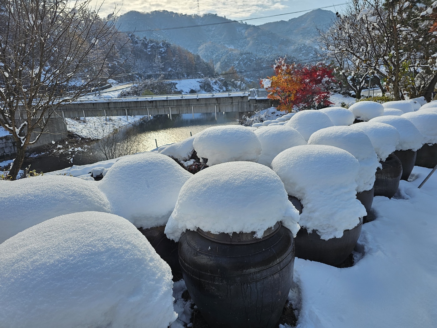 전통메주 판매하는곳, 국산콩메주 예약 메주 한말 가격