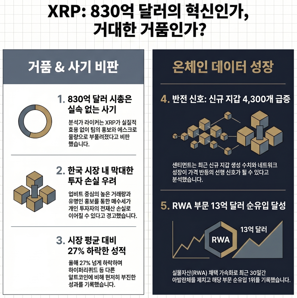 XRP 가치 논란 분석