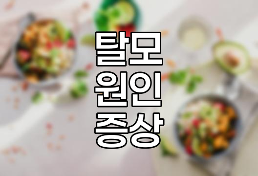 머리카락 얇아짐 원인 및 탈모 전조증상 상세 정리