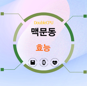 맥문동 효능 탐구