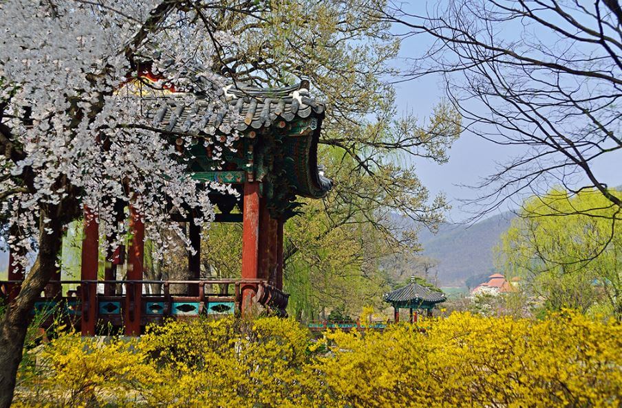 천안 가볼만한곳 베스트10 천안삼거리공원