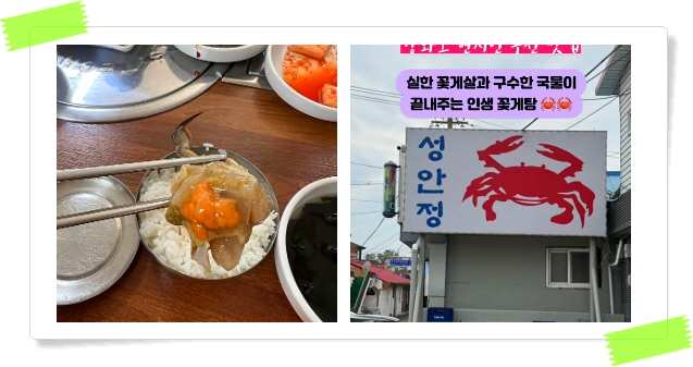 전현무계획2 강화 꽃게탕 꽃게찜 후기