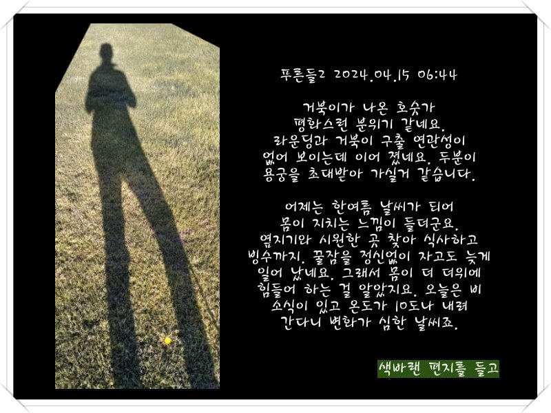 푸른들님의-건강 온도가 늘-100% 셨으면요