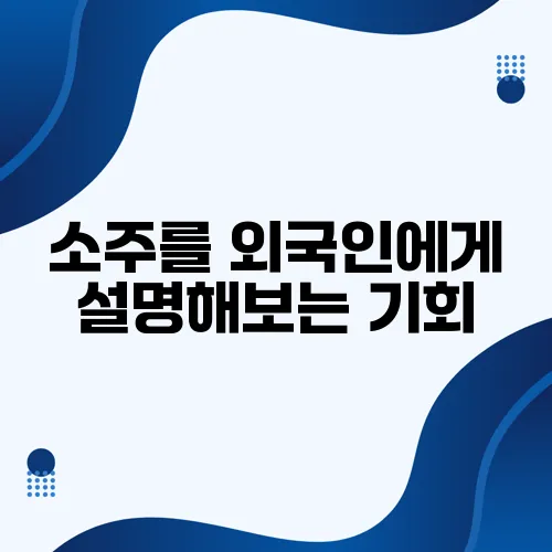 소주를 외국인에게 설명해보는 기회