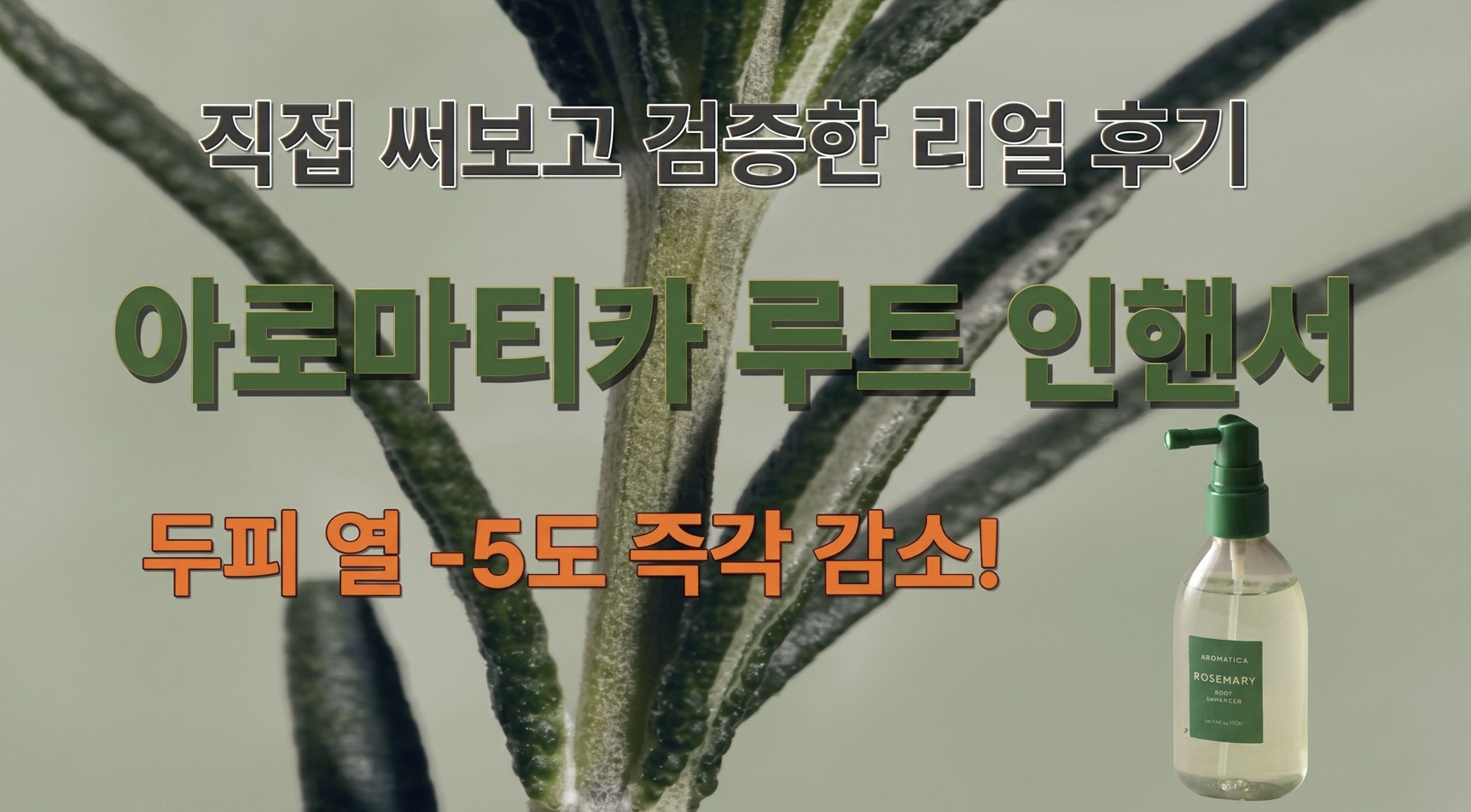 아로마티카 로즈마리 루트 인핸서 쿨링 헤어 미스트 추천 및 두피 관리법 썸네일