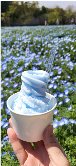 나가이공원의 네모필라 소프트아이스크림