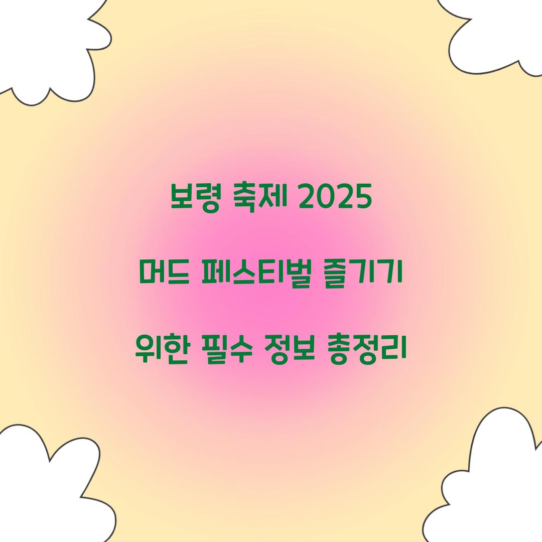 보령 축제 2025 머드 페스티벌