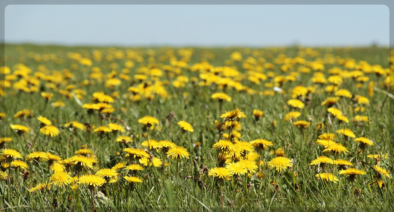 피부 좋아 지는 방법