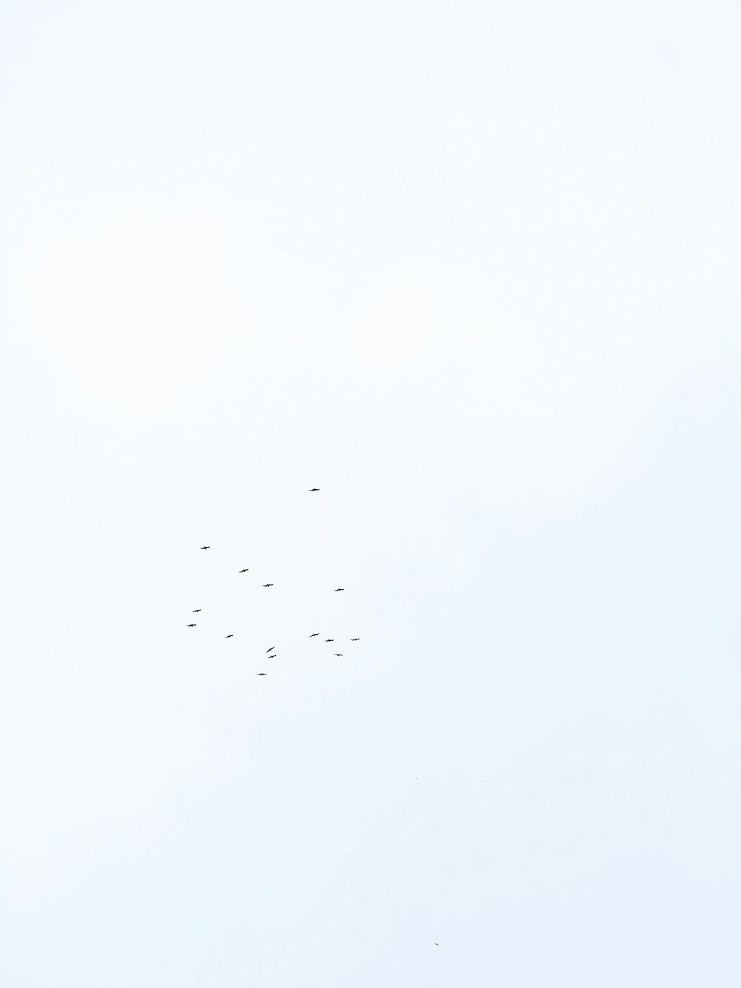 2025 파이코인 마이그레이션: 모든 정보와 FAQ 정리 관련 이미지 1