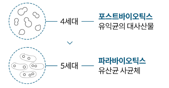 4-5세대 유산균