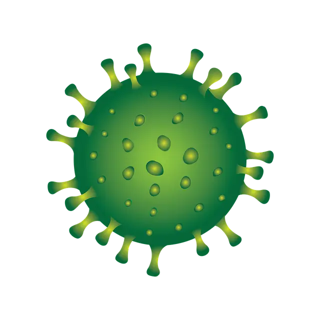 마이코플라스마 폐렴 전염 증상부터 입원 회복과정