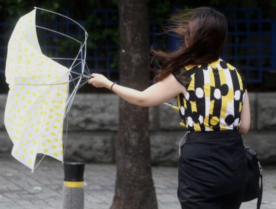 우산-버리는-방법