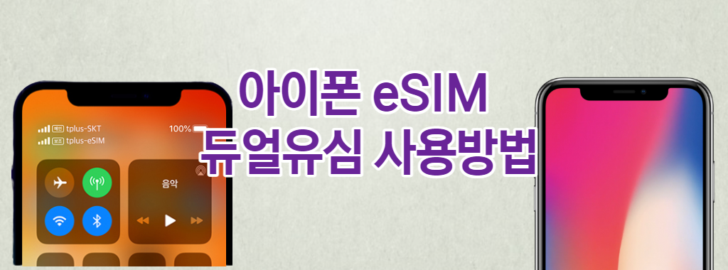 아이폰 eSIM