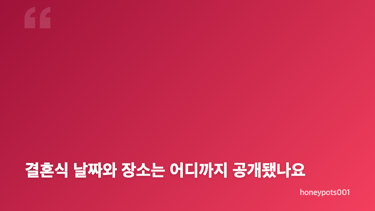 솔비 결혼 발표와 내년 4월 비공개 예식