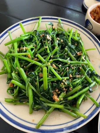 모닝글로리 쇼핑몰 다이어리 달력 수척 필통 추천_20