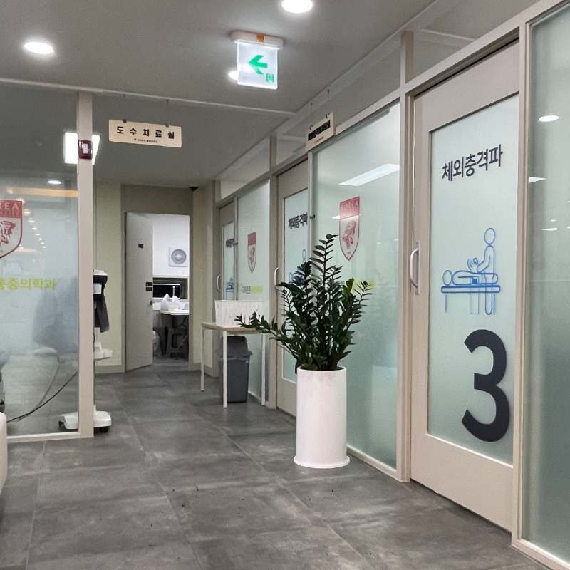 고양시 정발산동 정형외과 유명하고 잘하는 곳 추천 TOP 5