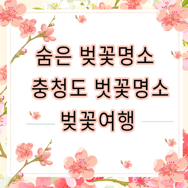 숨은 벚꽃명소 / 2024 충청도 벗꽃명소 벚꽃여행