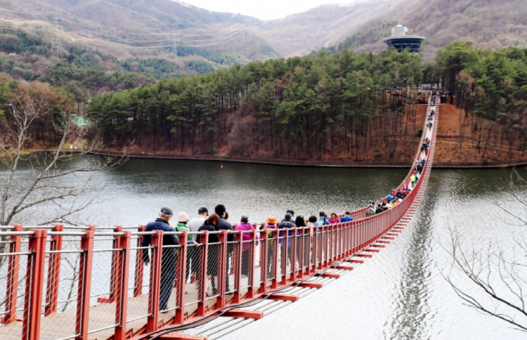 마장호수 출렁다리