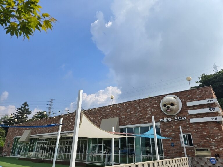 반려견과 함께 즐기는 용인 애견카페 총정리
