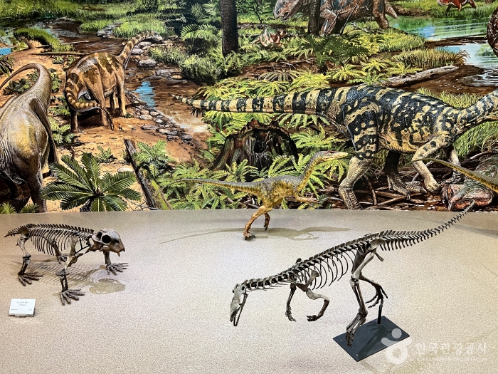 태백 가볼만한곳 베스트10