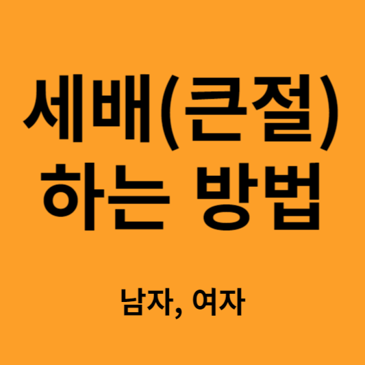세배 큰절 하는 법