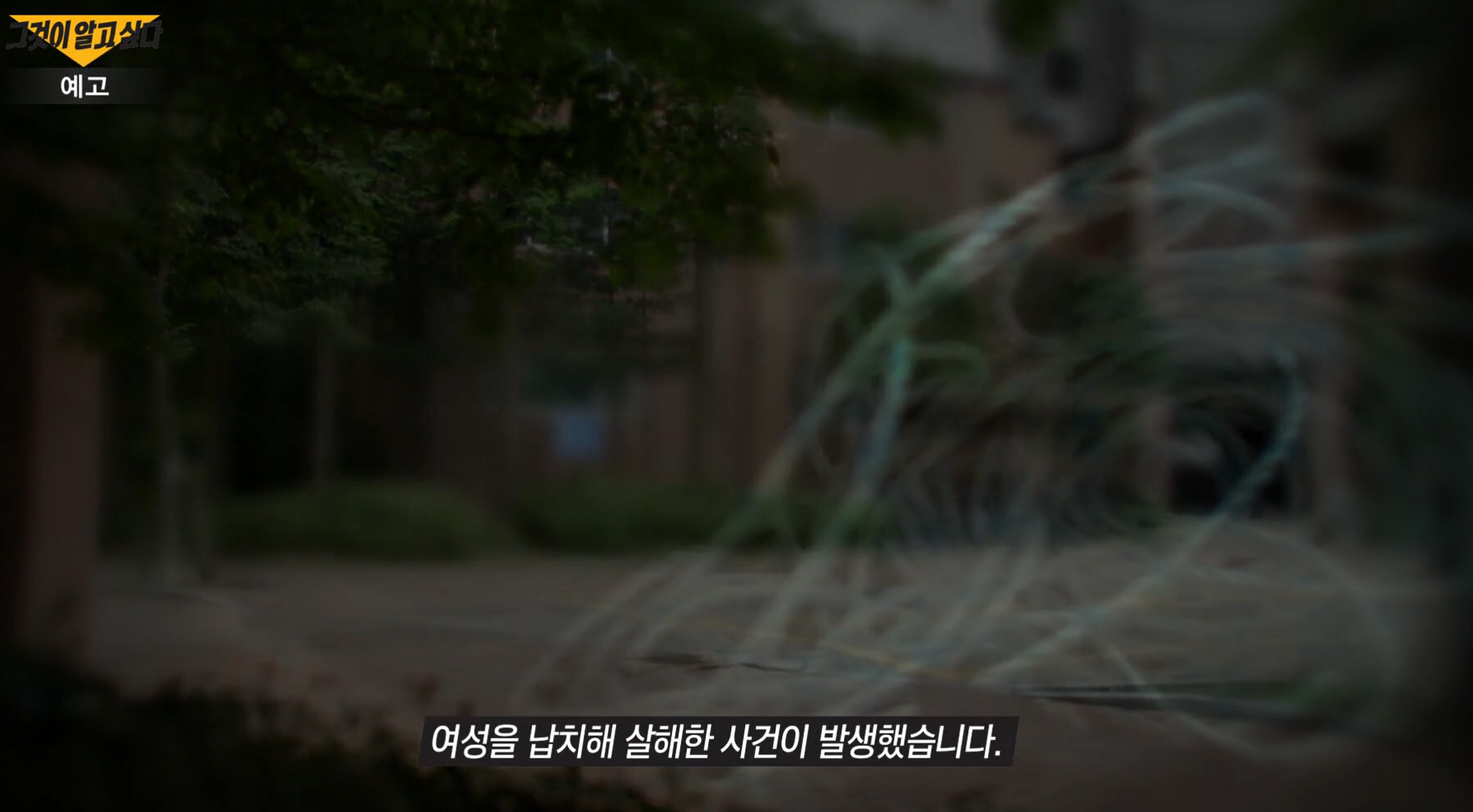 동탄 납치살인사건 김은진 사망 사건
