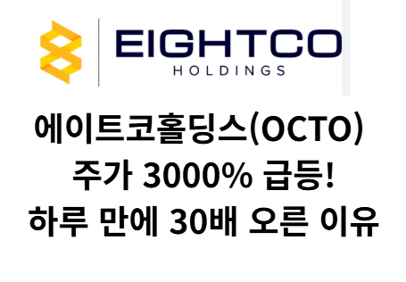 에이트코홀딩스