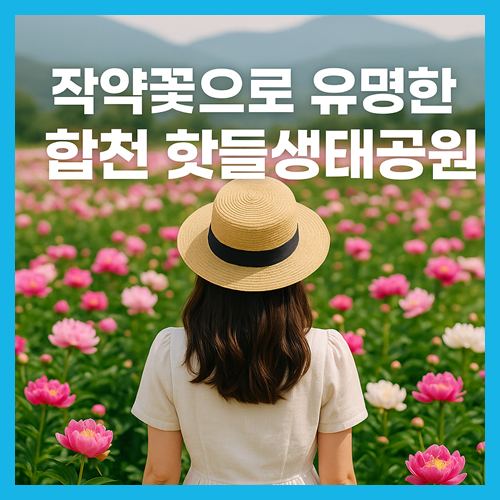 합천 핫들생태공원 작약밭 완벽 가이드
