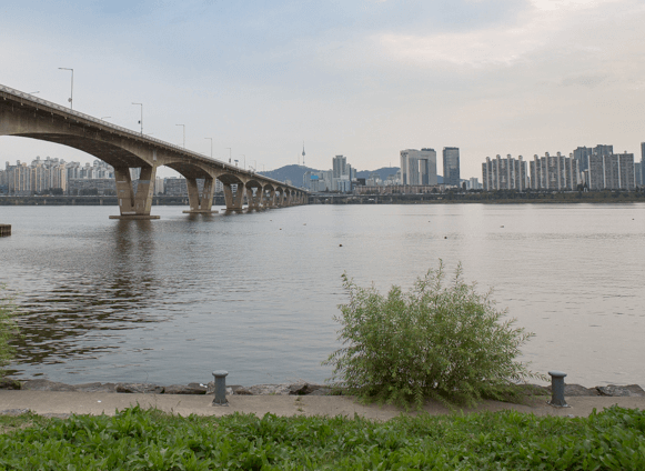 여의도한강-시민공원