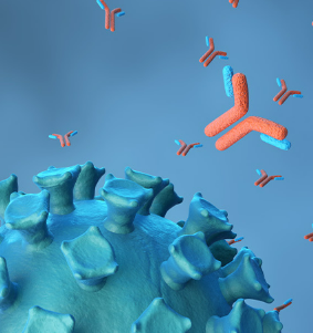 신라젠 주가 현황과 주가 전망