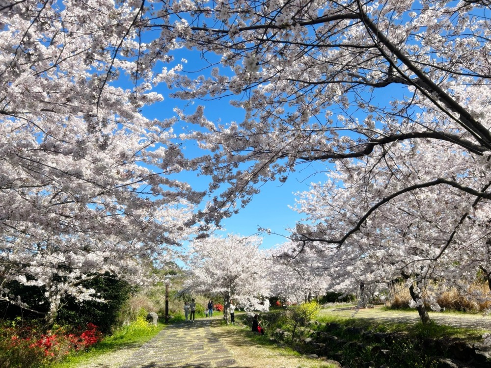관련 여행지 사진이미지