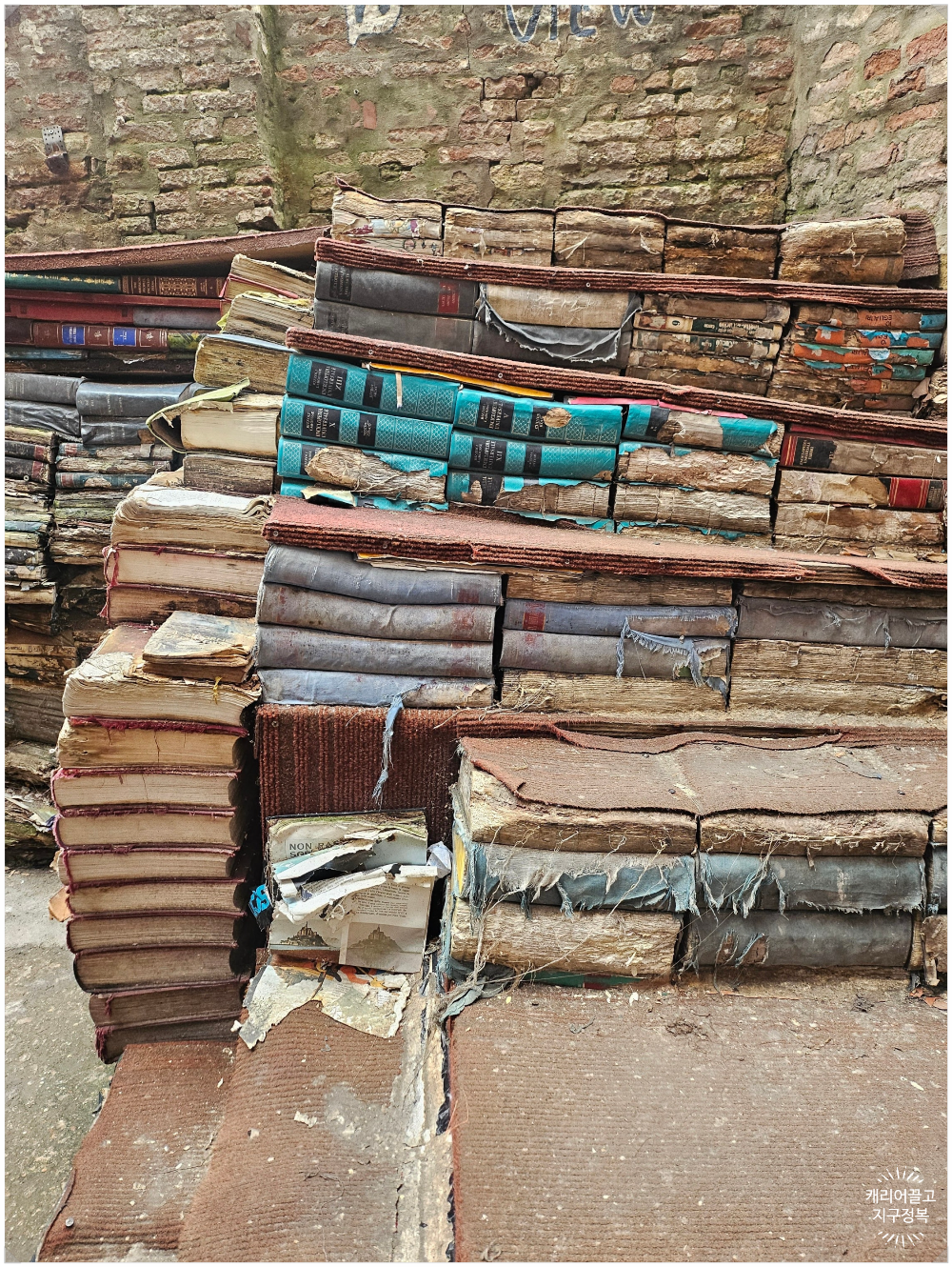 아쿠아 알타 서점