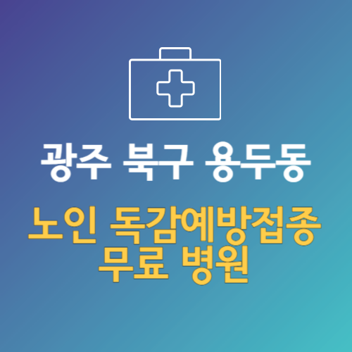 광주 북구 용두동 노인 독감예방접종 무료 병원 (인플루엔자 무료 접종 대상 날짜)