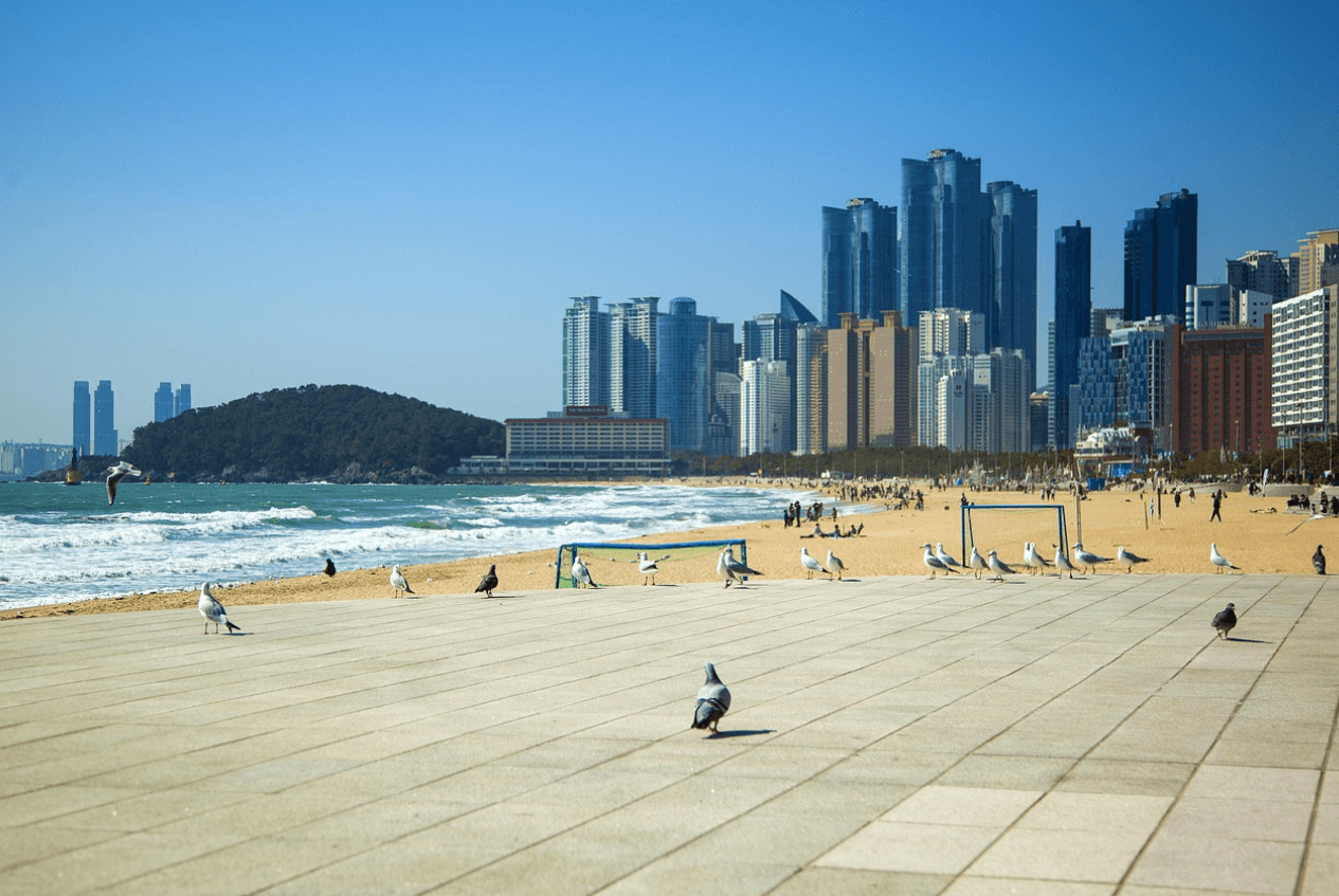 부산온나청년패스