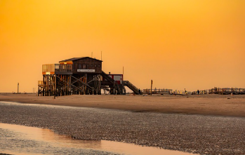 검버섯이 생기는 이유 총정리 15