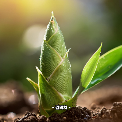 대나무 죽순 효능