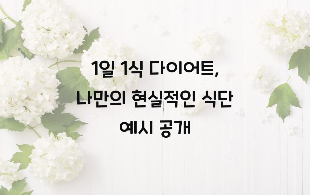  1일 1식 다이어트, 현실적인 식단 예시