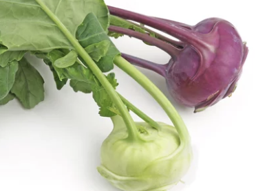 Kohlrabi