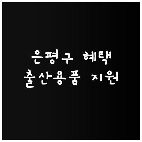 2025 은평구 출산 장려 정책: 다..