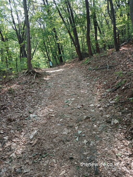 Gentle dirt trail through the forest at Achasan-아차산의 완만한 경사의 흙길 등산로