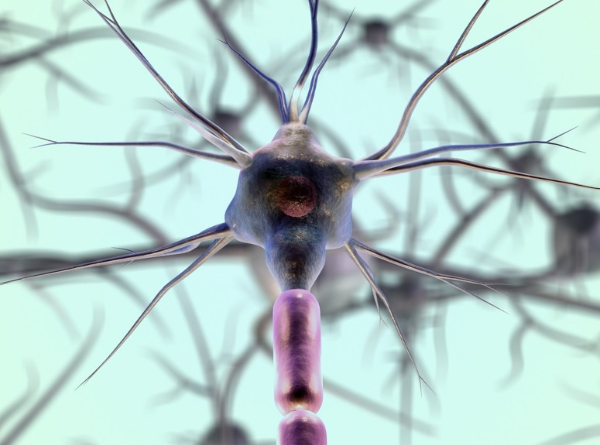 신경 엑소좀(Neural Exosome)의 진단 및 치료 응용