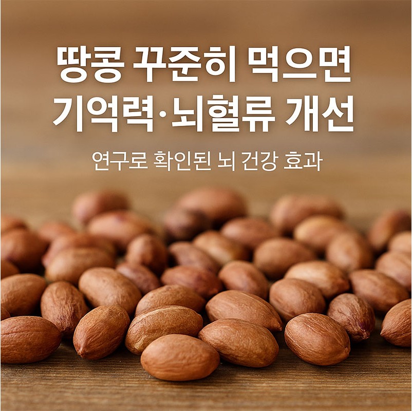 땅콩 꾸준히 먹으면 기억력·뇌혈류 개선 연구로 확인된 뇌 건강 효과
