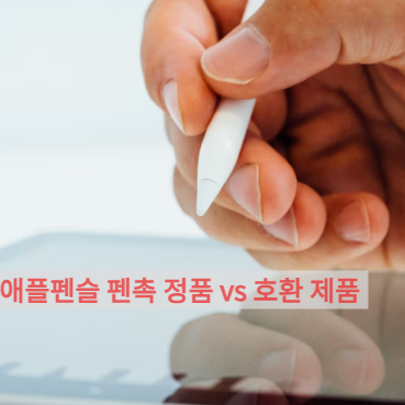 애플펜슬 펜촉 정품 vs 호환 제품