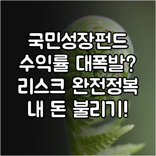 국민성장펀드 투자 전략과 기대 수익률..