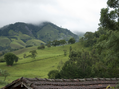 2025년 제21대 대통령 선거 사전투표 일정 참여 방법